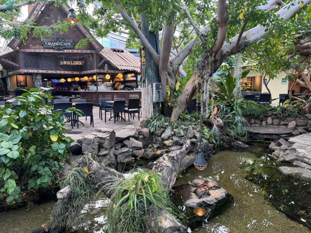 Center Parcs De Kempervennen