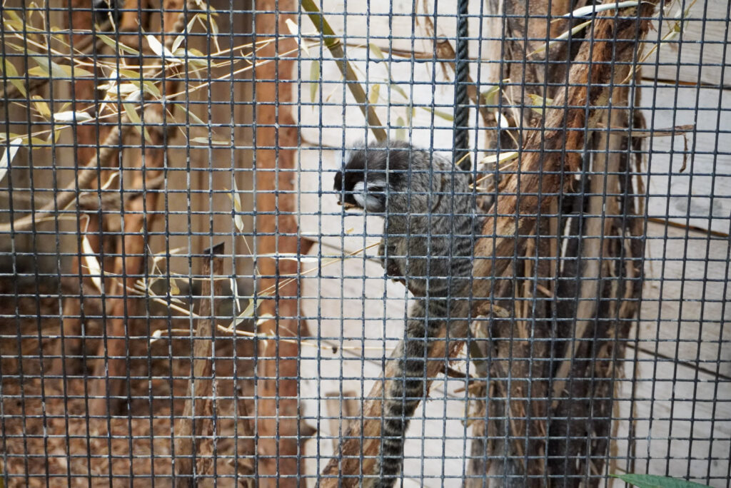 Berkenhof 's Tropical Zoo