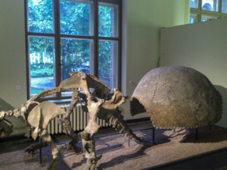 Naturkundemuseum Berlin