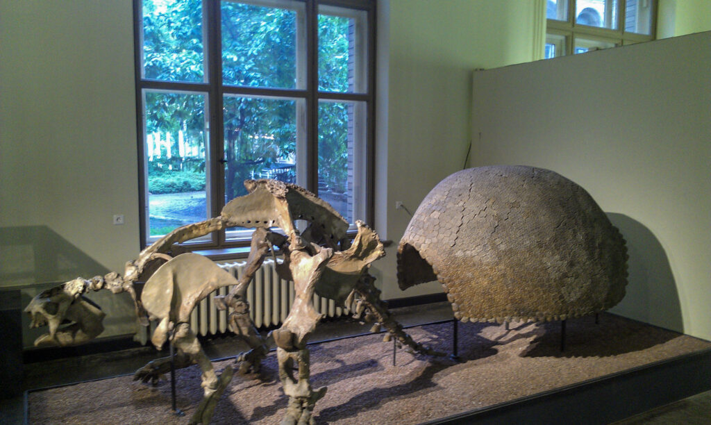 Naturkundemuseum Berlin