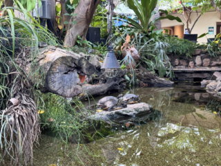 Center Parcs De Kempervennen