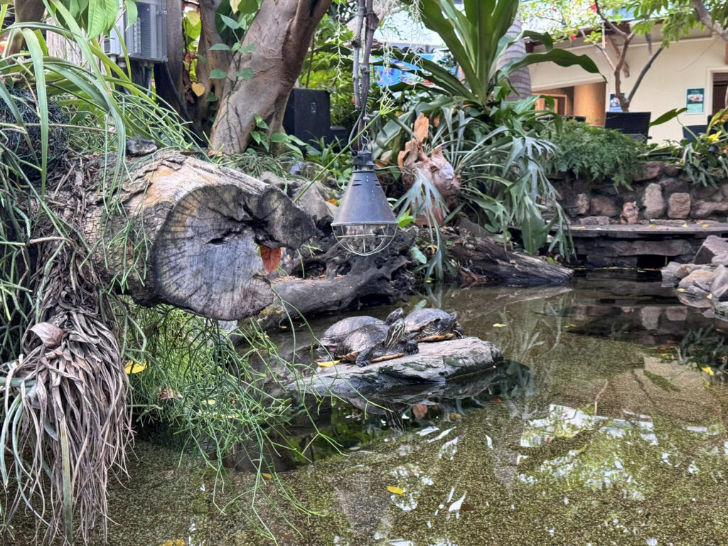 Center Parcs De Kempervennen