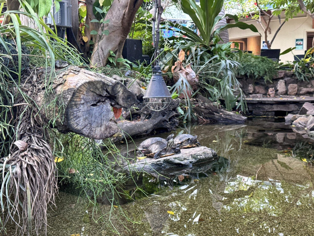 Center Parcs De Kempervennen