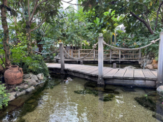 Center Parcs De Kempervennen