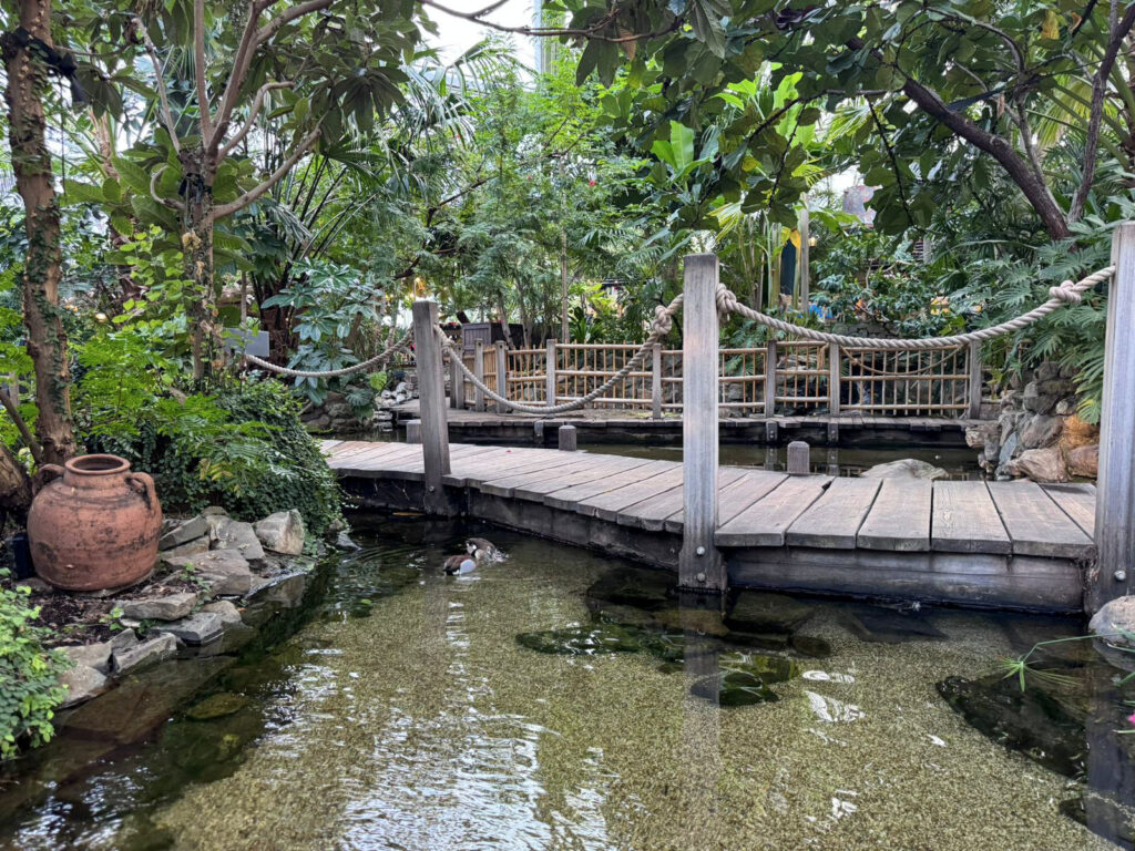 Center Parcs De Kempervennen