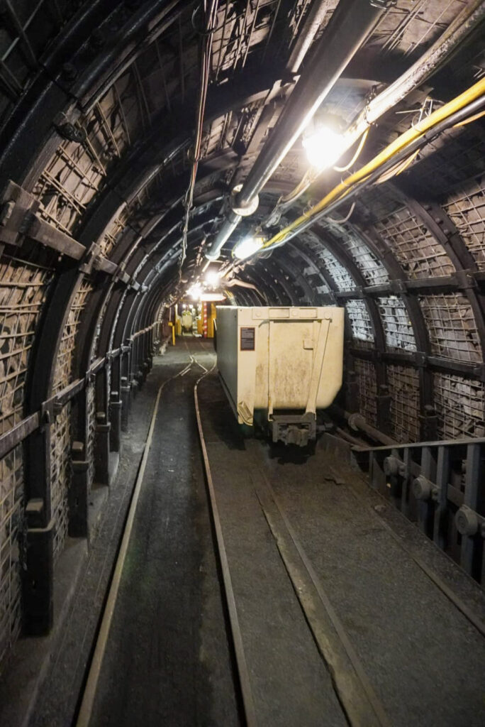 Deutsches Bergbau-Museum Bochum