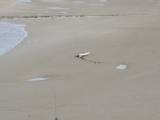 Zeeland Zeeland