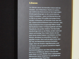 Naturkundemuseum Berlin