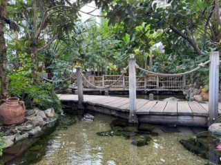 Center Parcs De Kempervennen