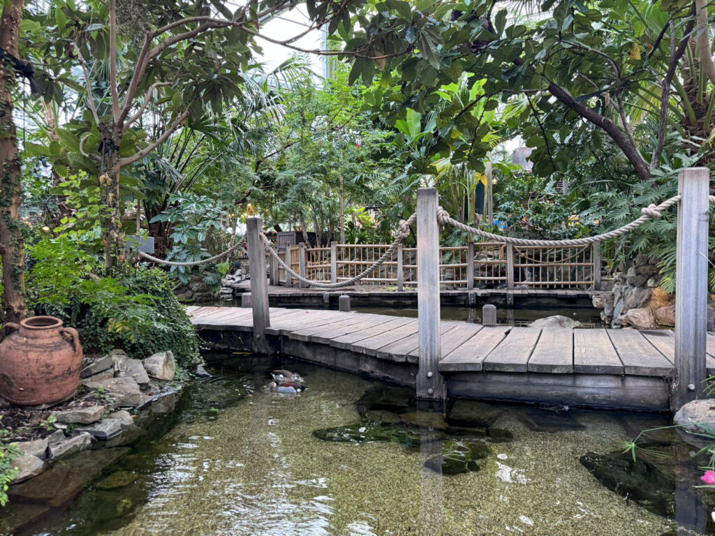 Center Parcs De Kempervennen