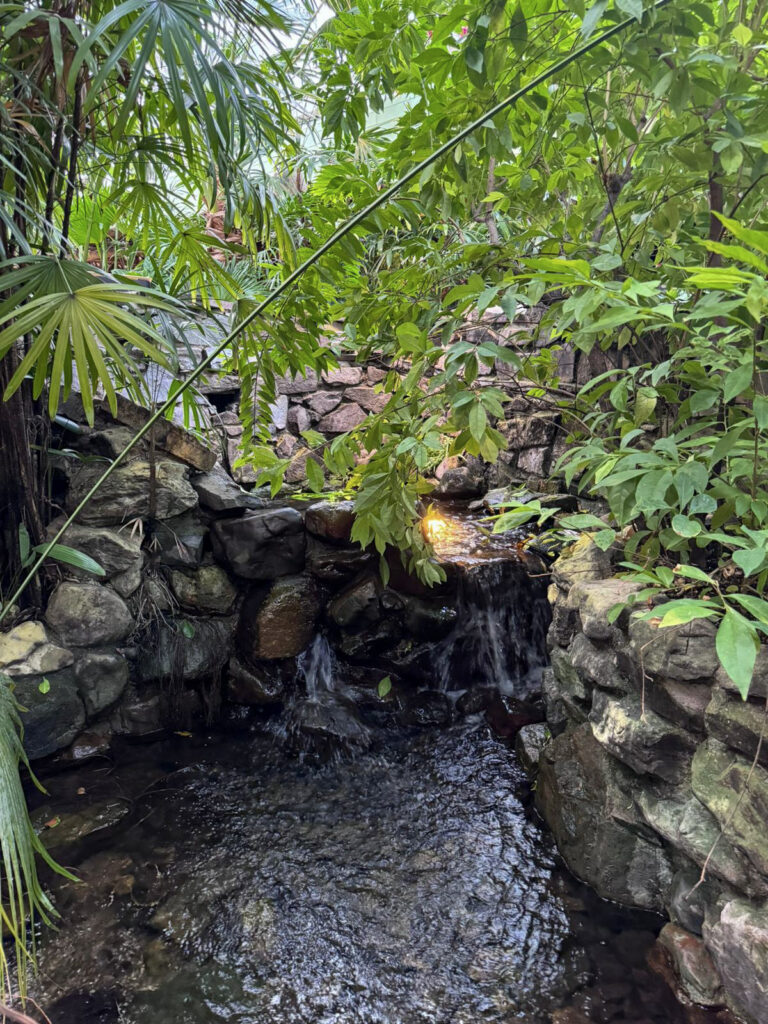 Center Parcs De Kempervennen