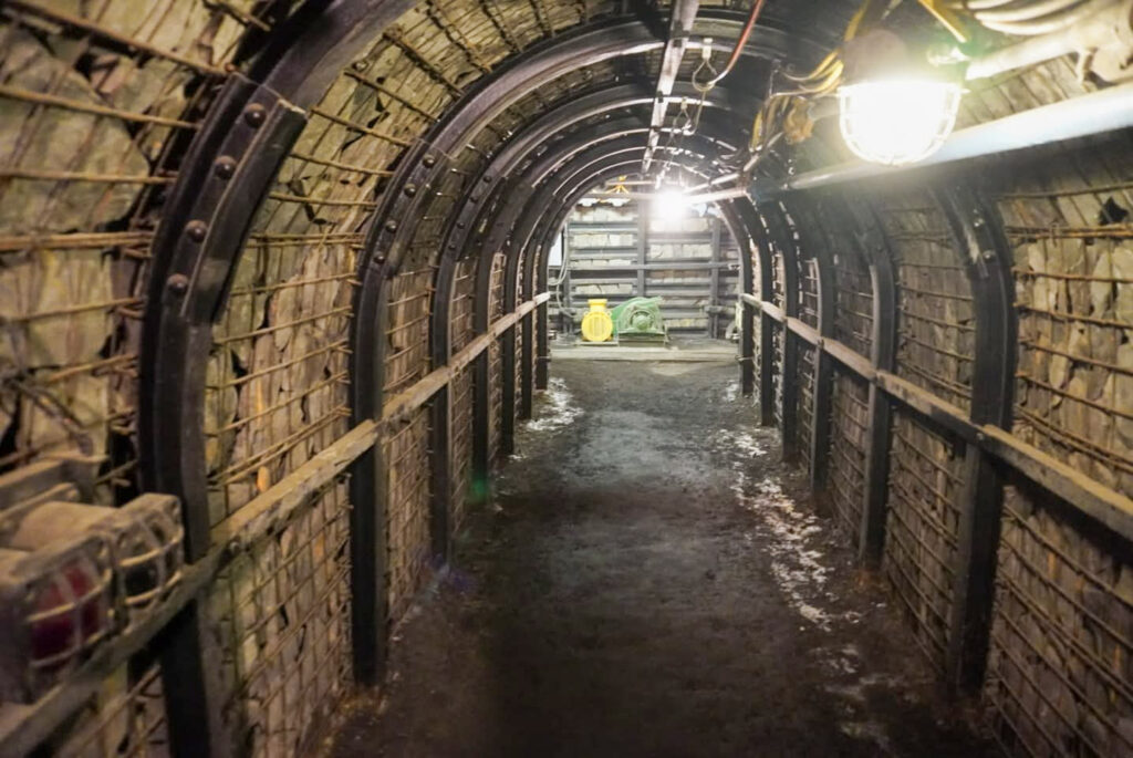 Deutsches Bergbau-Museum Bochum