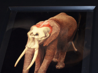 Naturkundemuseum Berlin