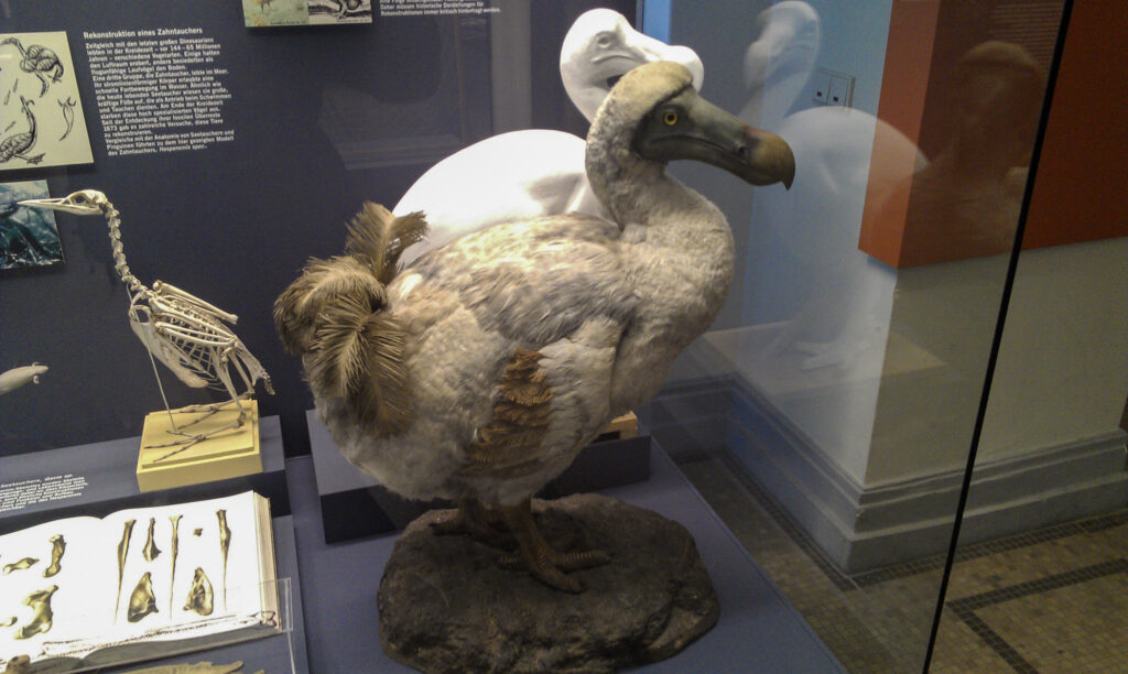 Naturkundemuseum Berlin