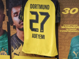 Signal Iduna Park und Borruseum Signal Iduna Park und Borruseum