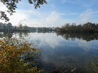 Center Parcs De Kempervennen