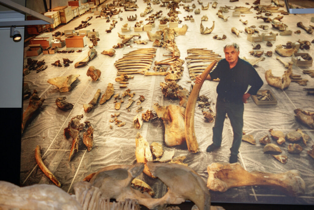 Naturkundemuseum Berlin