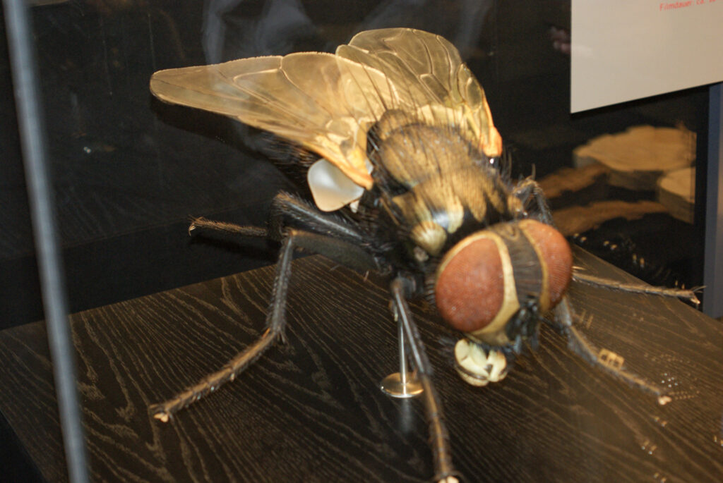 Naturkundemuseum Berlin