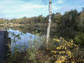 Center Parcs De Kempervennen
