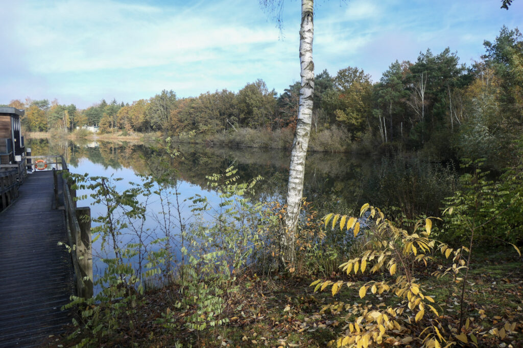 Center Parcs De Kempervennen