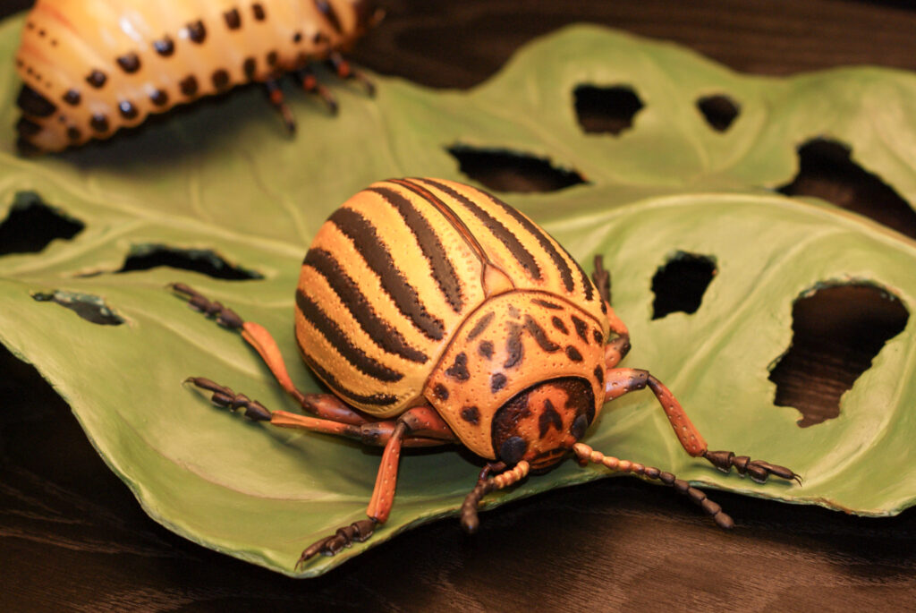 Naturkundemuseum Berlin