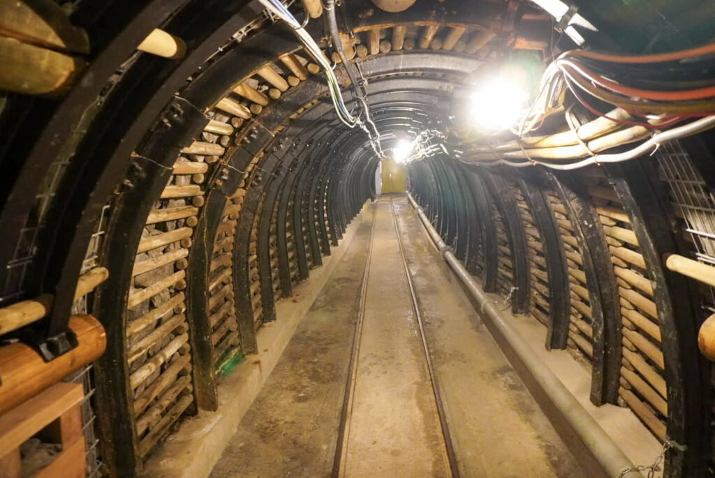 Deutsches Bergbau-Museum Bochum