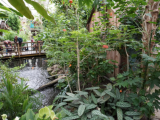Berkenhof 's Tropical Zoo