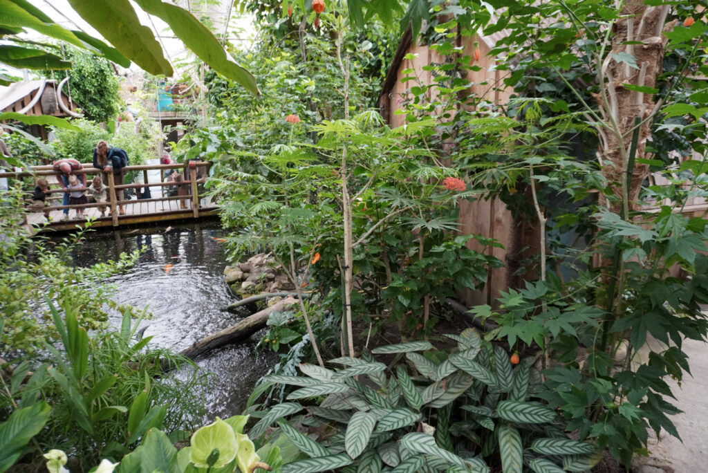 Berkenhof 's Tropical Zoo