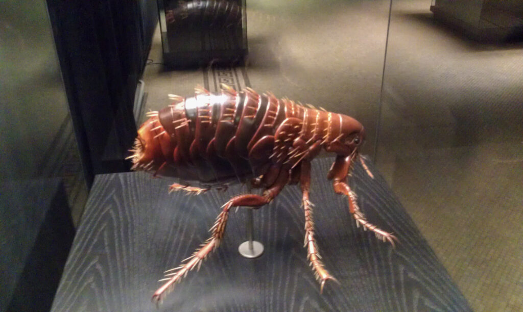 Naturkundemuseum Berlin