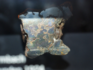 Naturkundemuseum Berlin