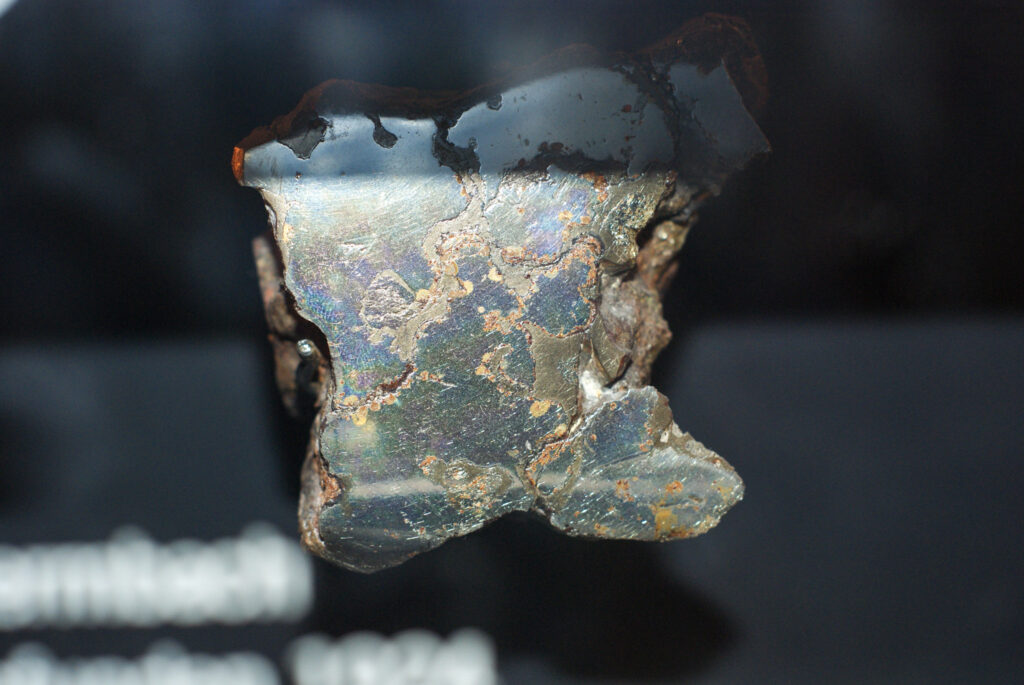 Naturkundemuseum Berlin