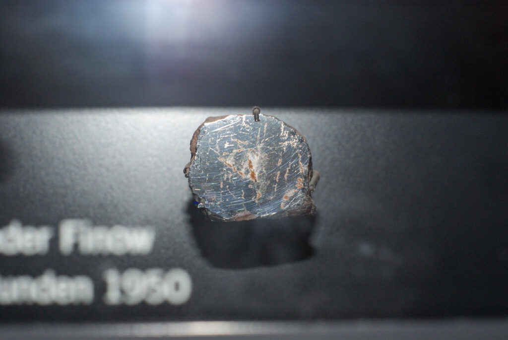 Naturkundemuseum Berlin