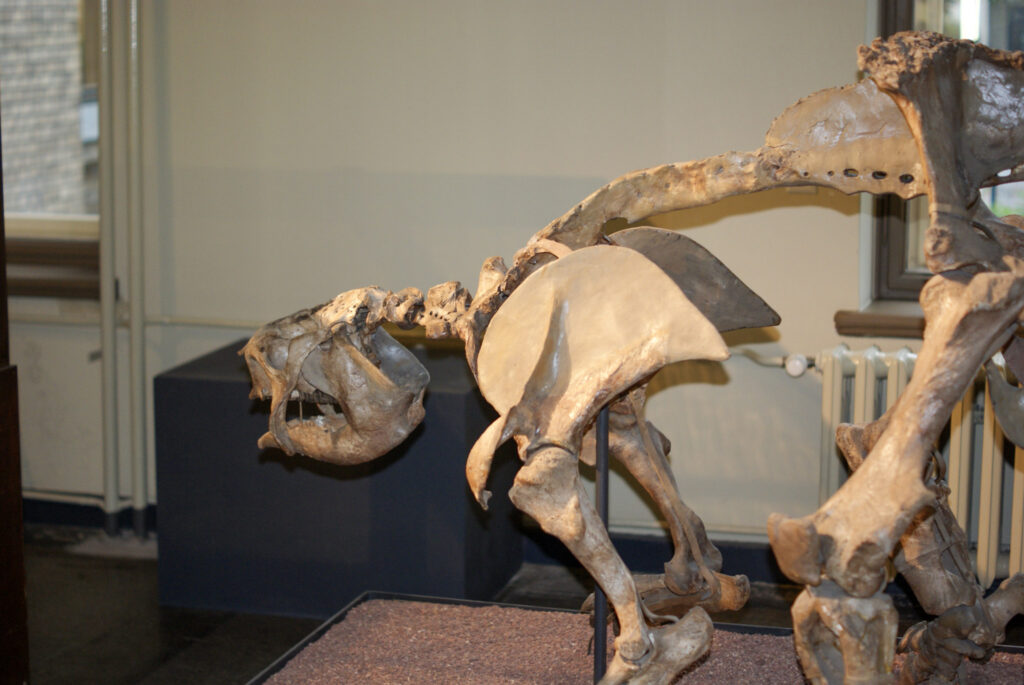 Naturkundemuseum Berlin