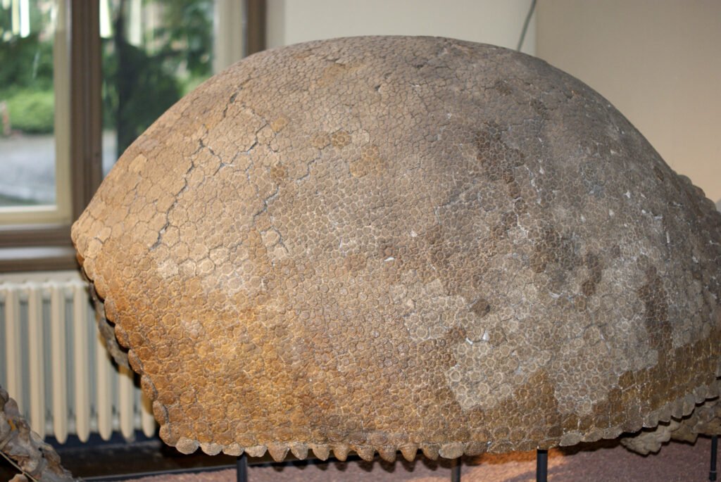 Naturkundemuseum Berlin