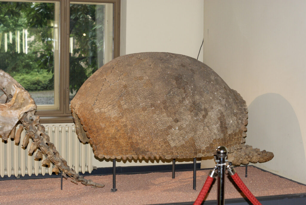 Naturkundemuseum Berlin