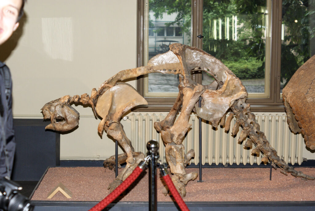 Naturkundemuseum Berlin