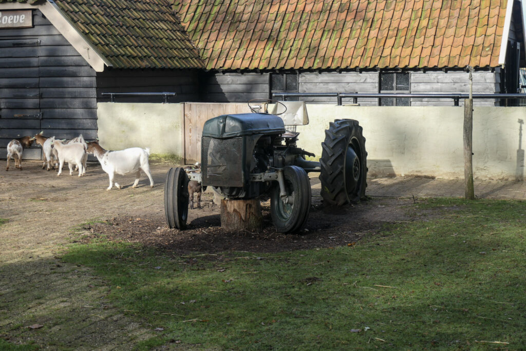 Center Parcs De Kempervennen