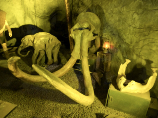 Berkenhof 's Tropical Zoo