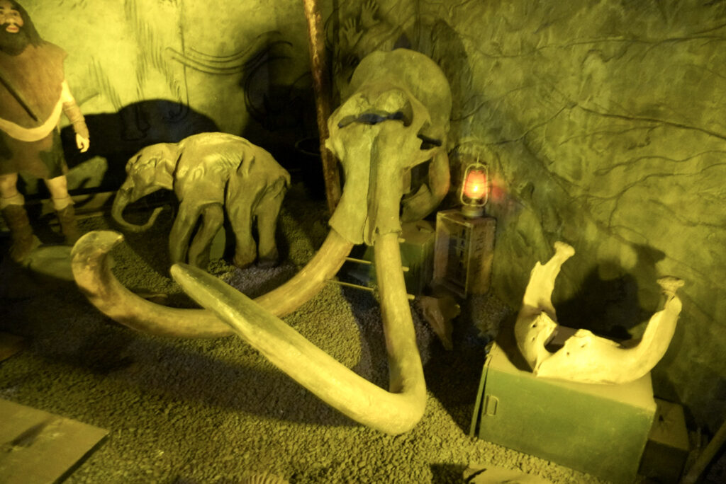 Berkenhof 's Tropical Zoo