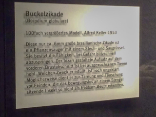 Naturkundemuseum Berlin