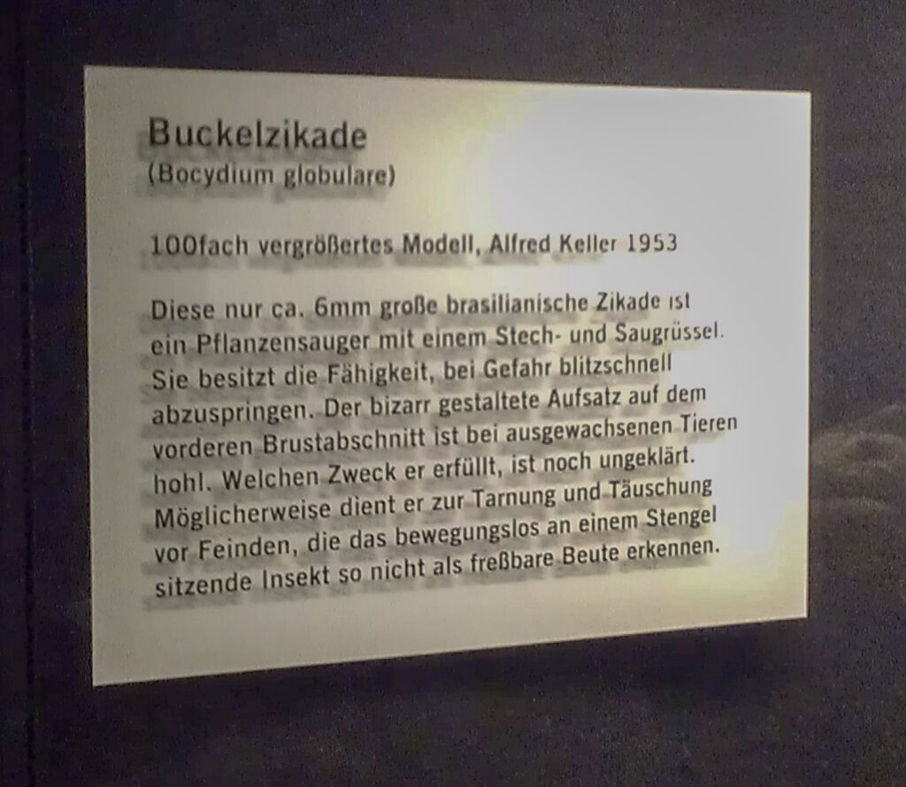 Naturkundemuseum Berlin