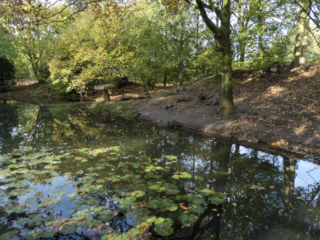Center Parcs De Kempervennen