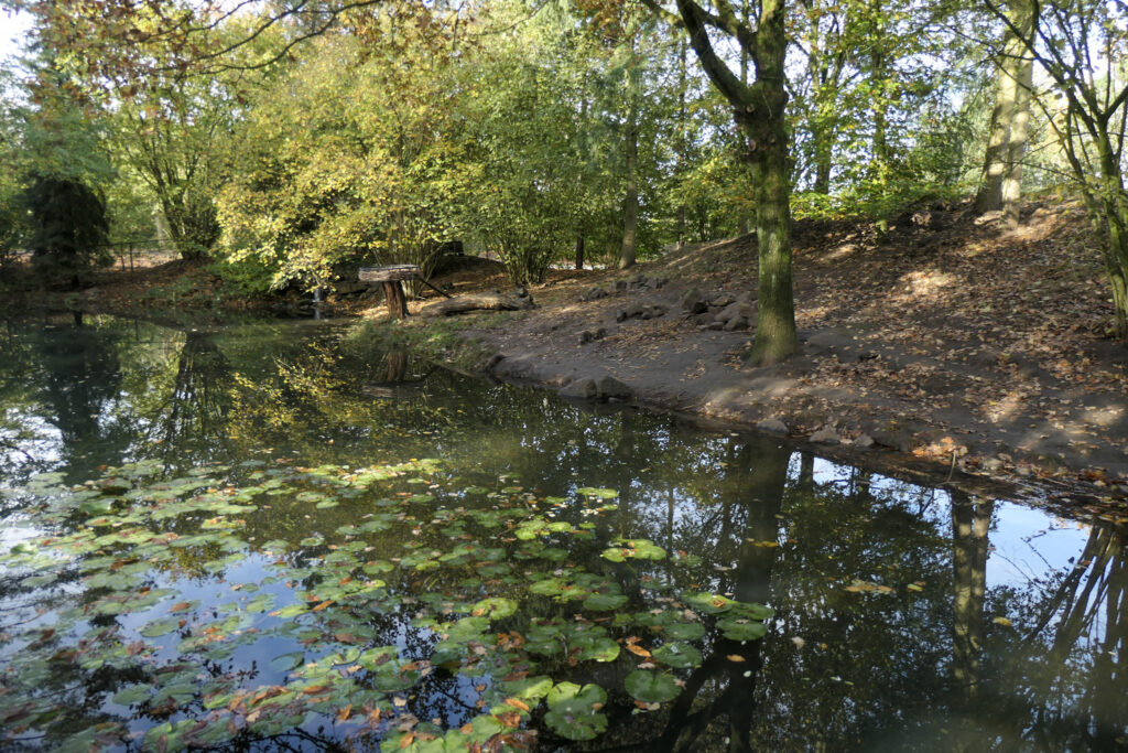 Center Parcs De Kempervennen