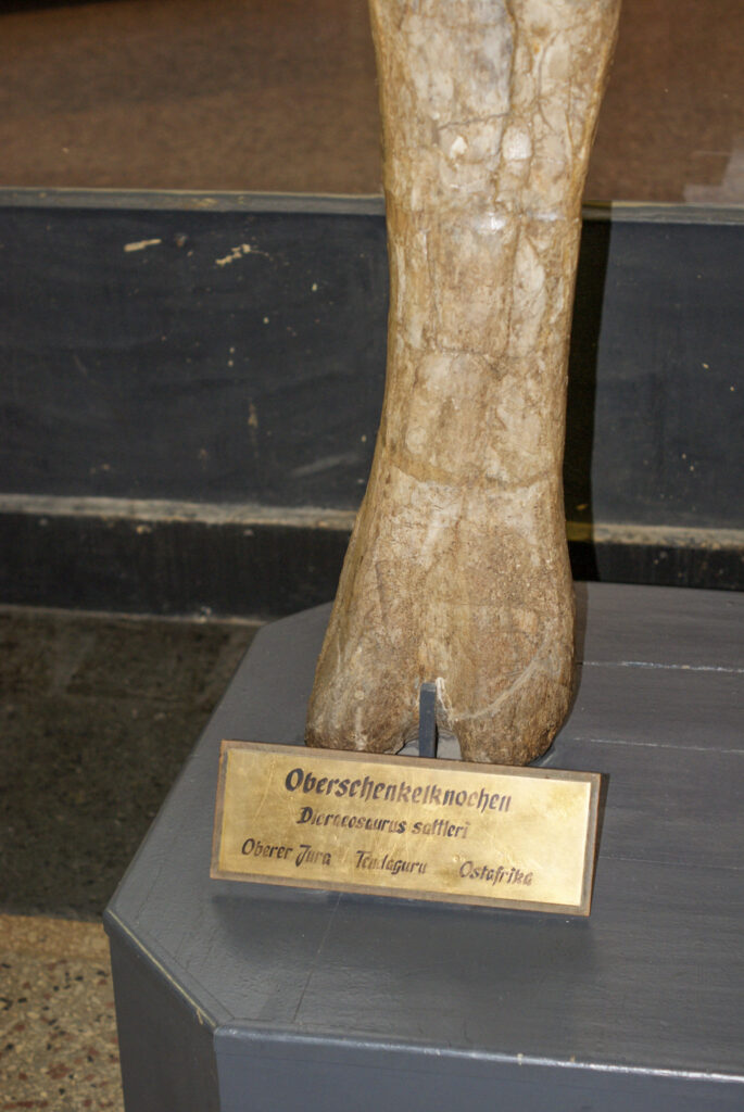 Naturkundemuseum Berlin