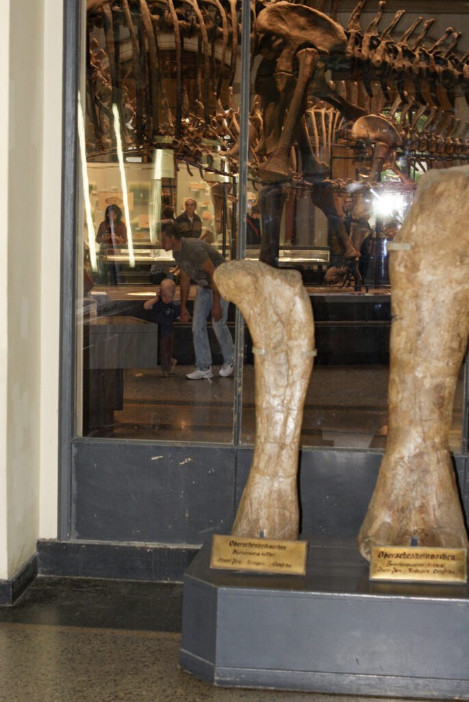 Naturkundemuseum Berlin