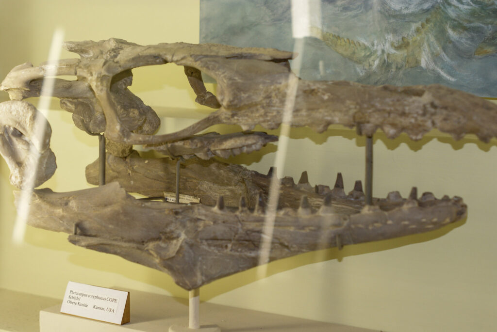 Naturkundemuseum Berlin