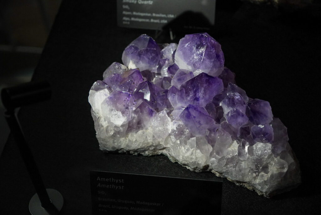 Heinz Nixdorf MuseumsForum