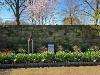 Br&uuml;ckenkopfpark J&uuml;lich
