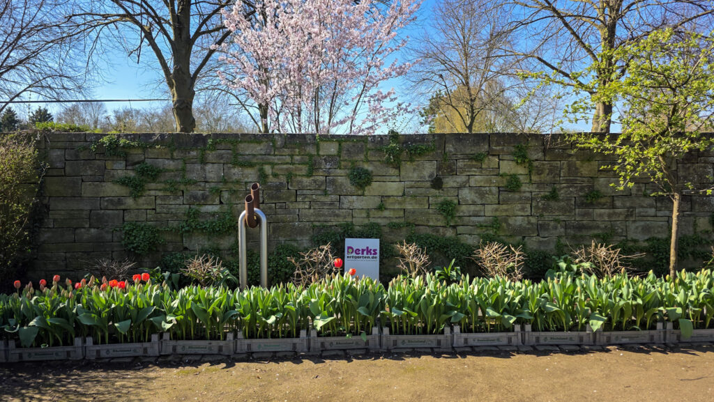 Br&uuml;ckenkopfpark J&uuml;lich
