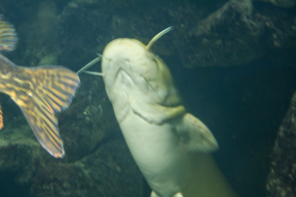 Berliner Zoo